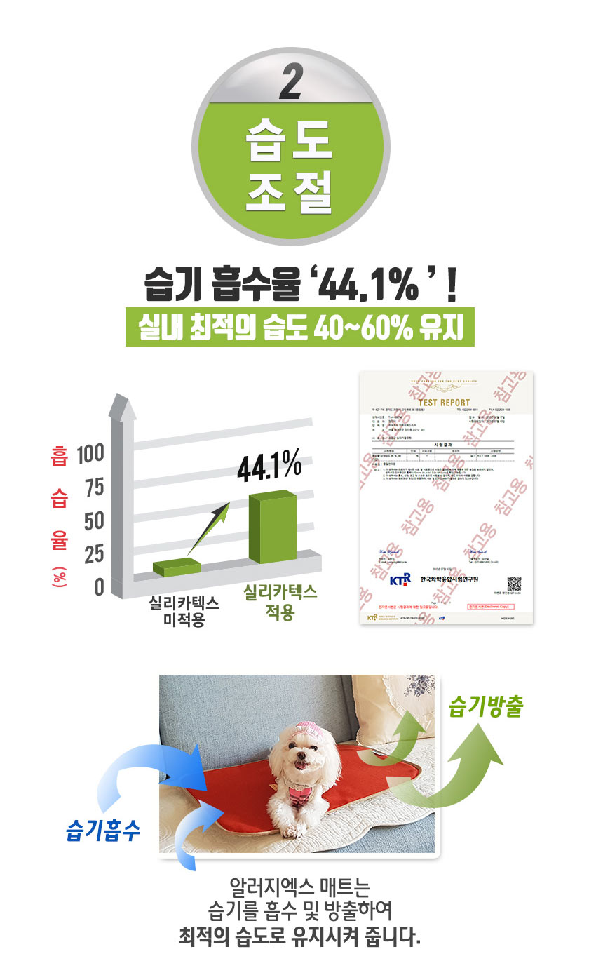 알러지엑스 allergx 실리카텍스