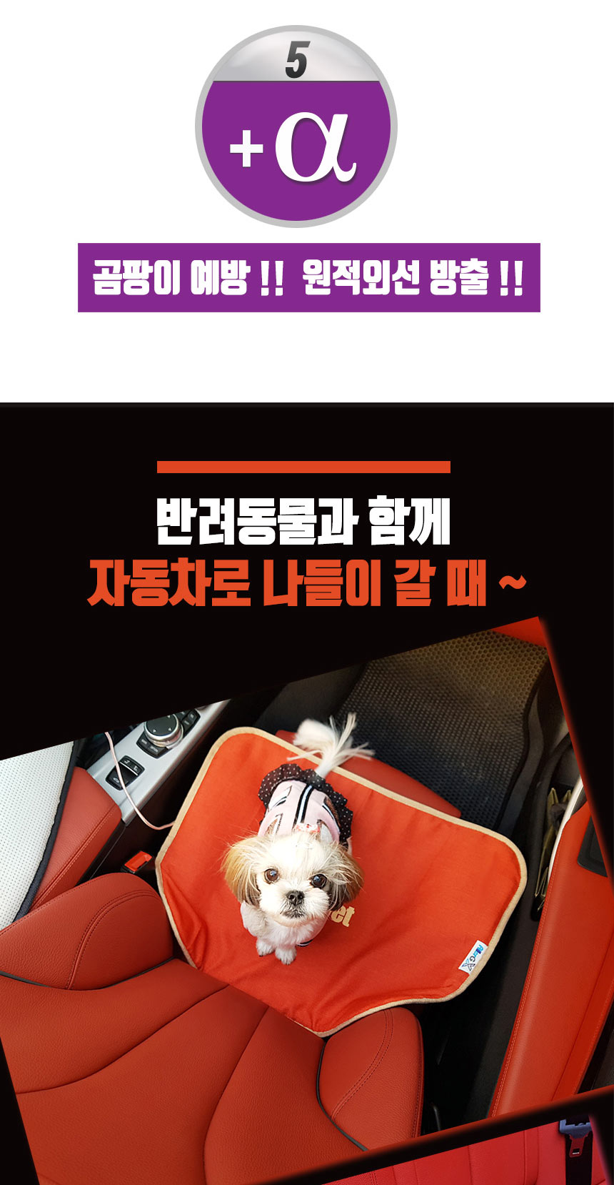 알러지엑스 allergx 실리카텍스