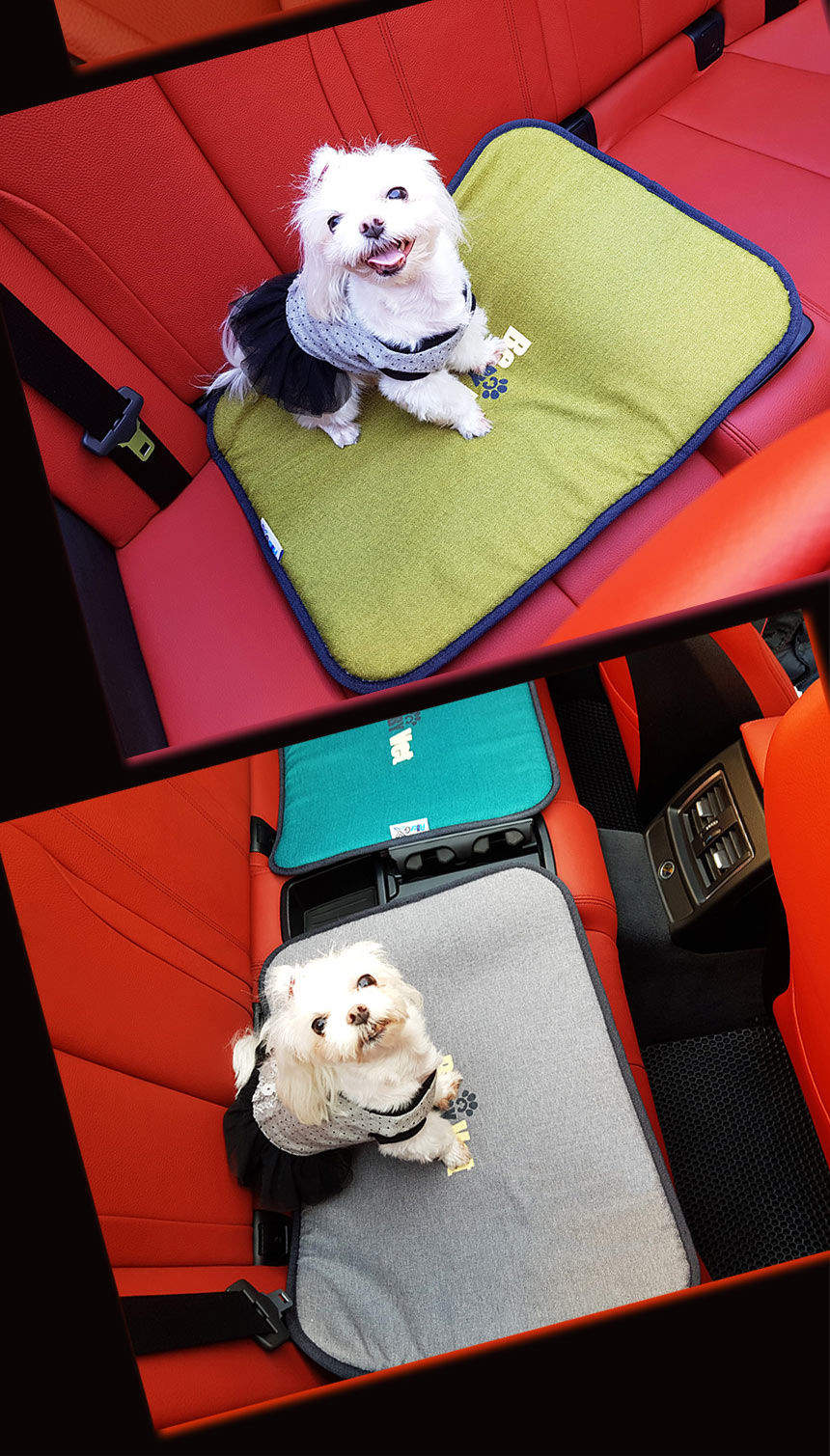 알러지엑스 allergx 실리카텍스