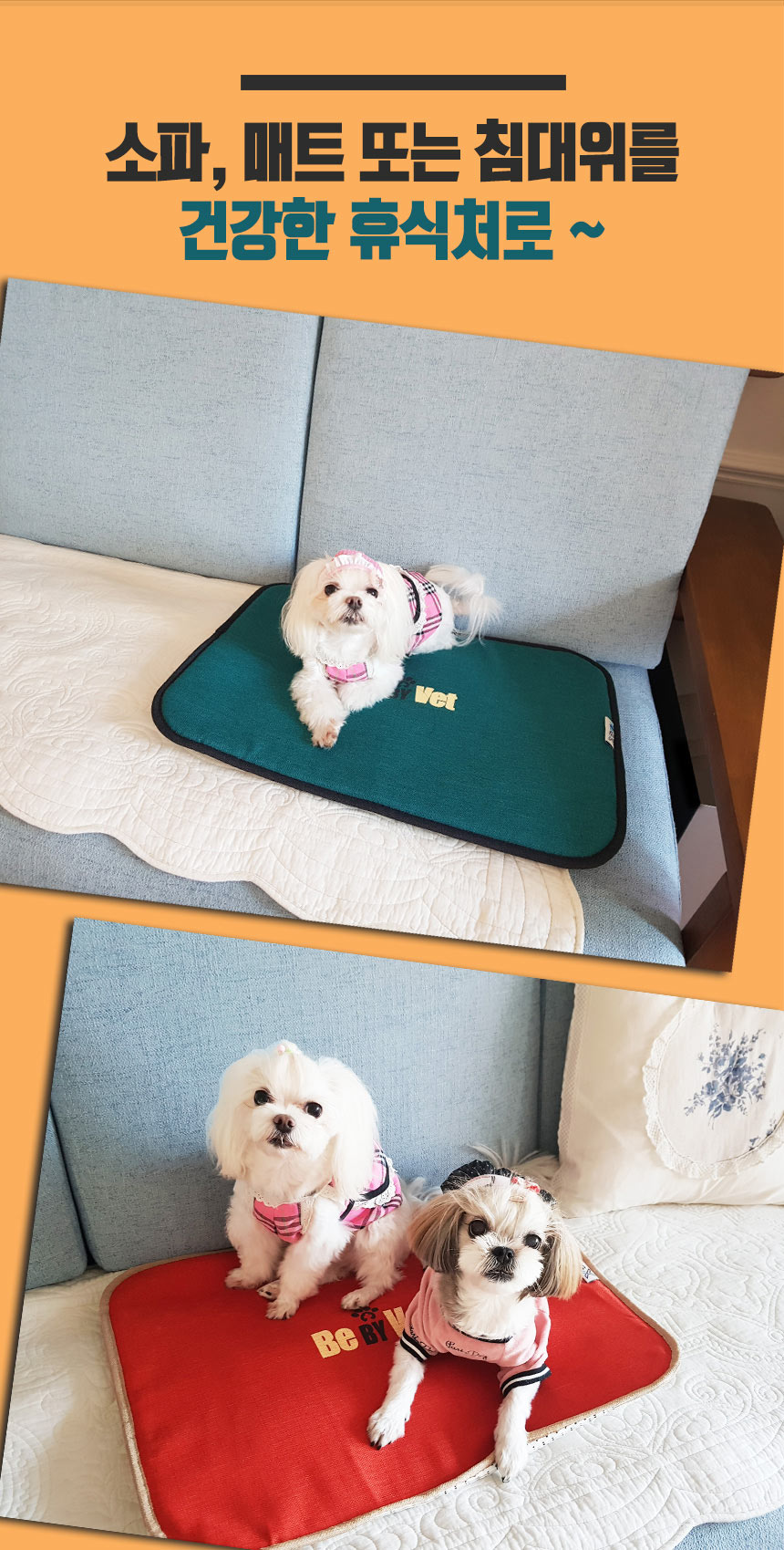 알러지엑스 allergx 실리카텍스