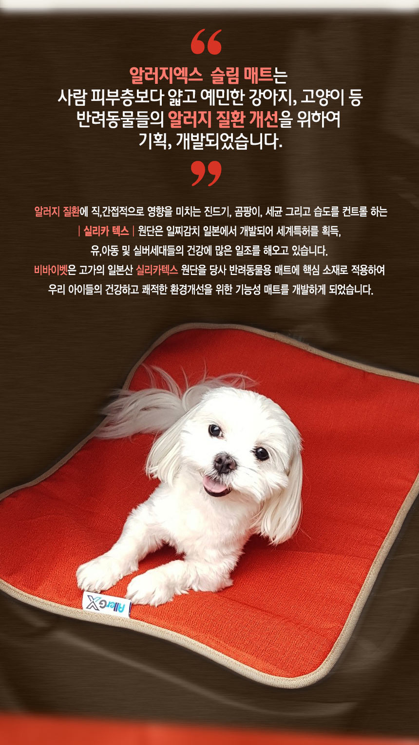 알러지엑스 allergx 실리카텍스